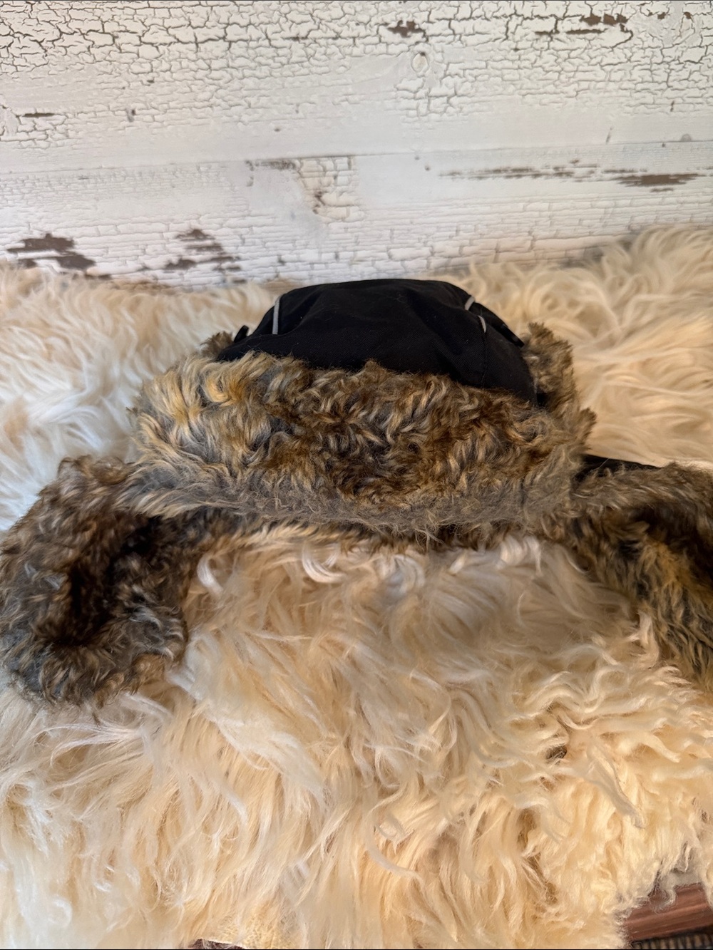 Kids Faux-Fur Trapper Hat in Black with Brown Trim